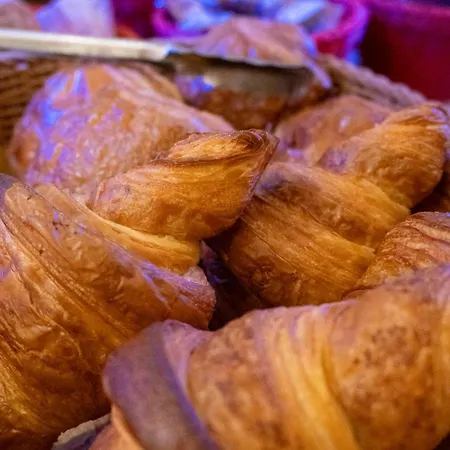 Hotel Ours Blanc - Victor Hugo Toulouse