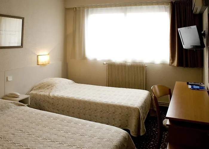 Ours Blanc - Victor Hugo Toulouse