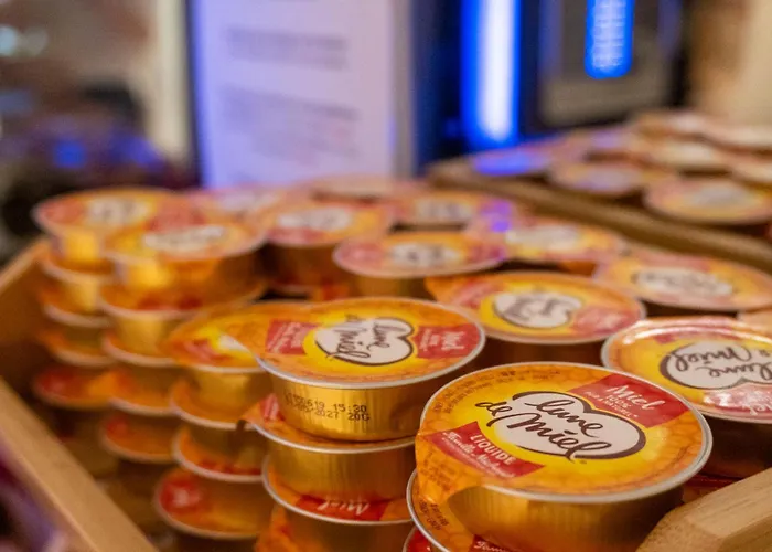 Ours Blanc - Victor Hugo トゥールーズ