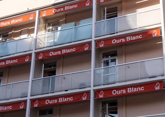 Ours Blanc - Victor Hugo 2* Toulouse