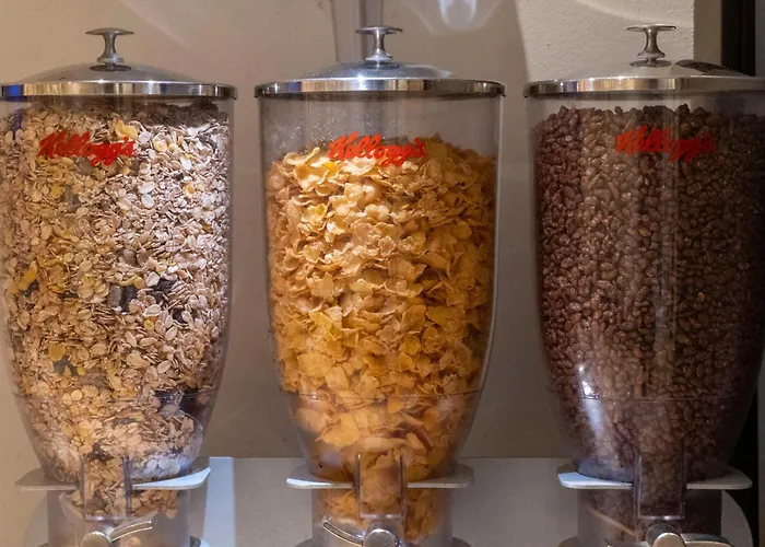 Ours Blanc - Victor Hugo トゥールーズ