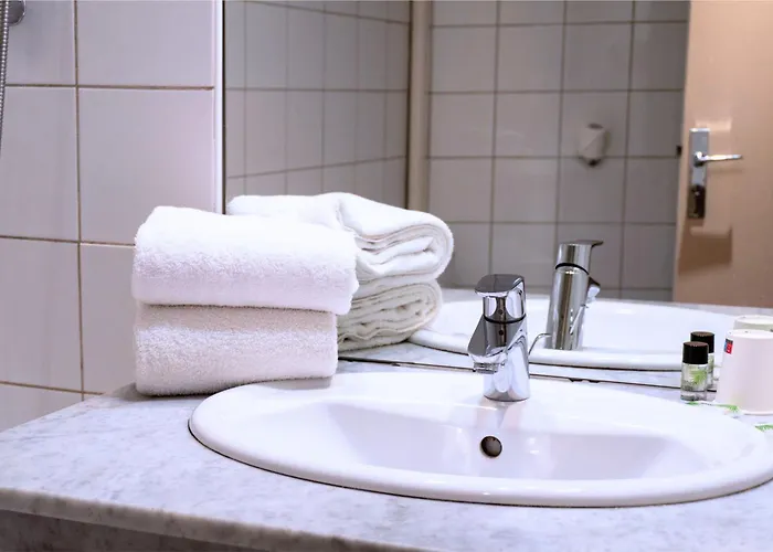 Ours Blanc - Victor Hugo トゥールーズ