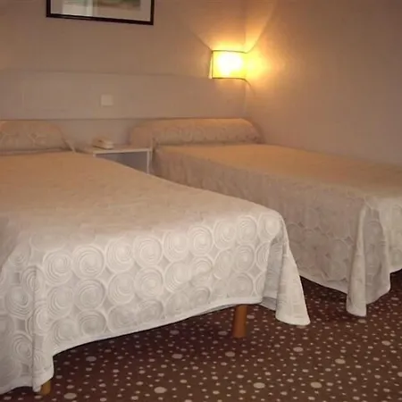 Ours Blanc - Victor Hugo Toulouse