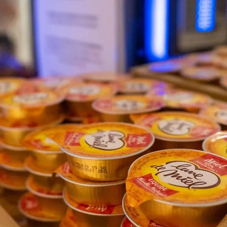 Ours Blanc - Victor Hugo Toulouse