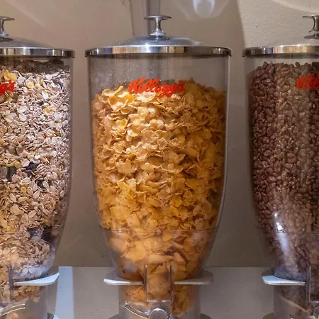 Ours Blanc - Victor Hugo Toulouse