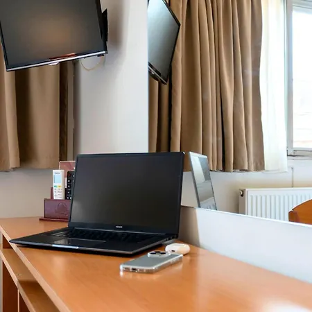 Ours Blanc - Victor Hugo Hotel