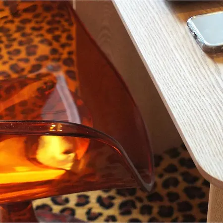 Ours Blanc - Victor Hugo Toulouse