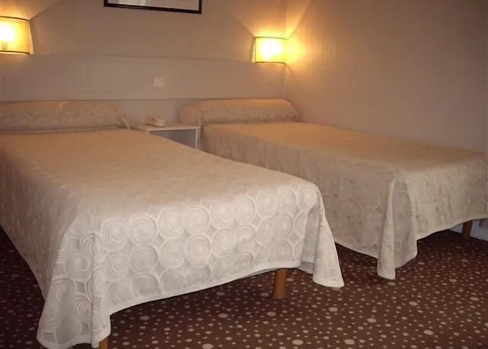 Ours Blanc - Victor Hugo Тулуза