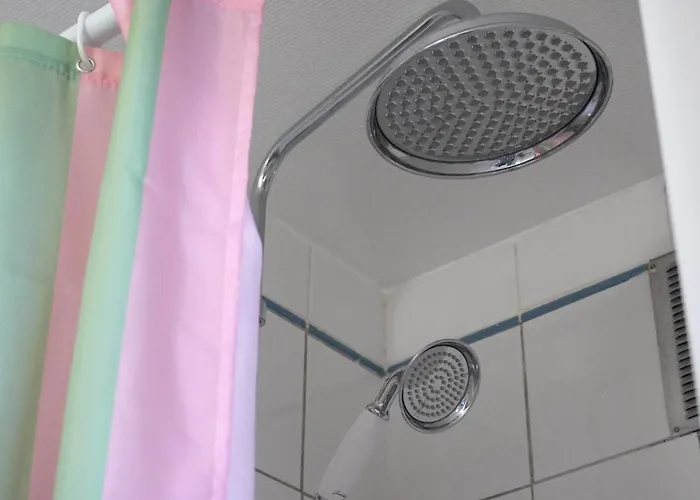 Ours Blanc - Victor Hugo