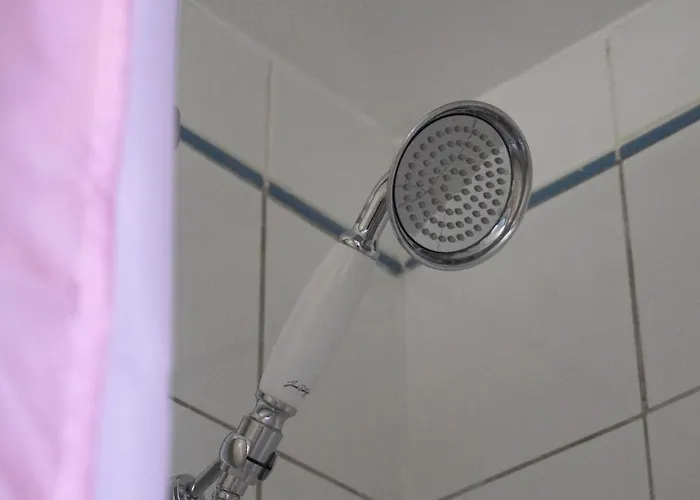 Ours Blanc - Victor Hugo 2*